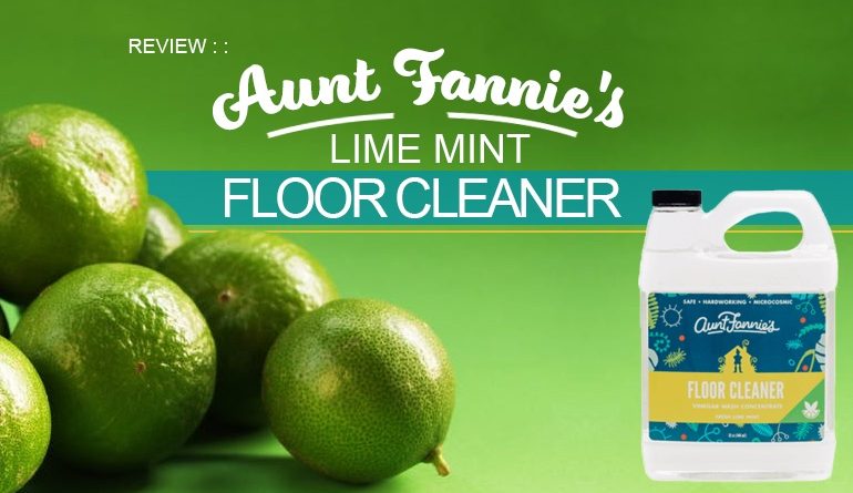 Review :: Aunt Fannie's Vinegar Wash Floor Cleaner – Safe Household Cleaning