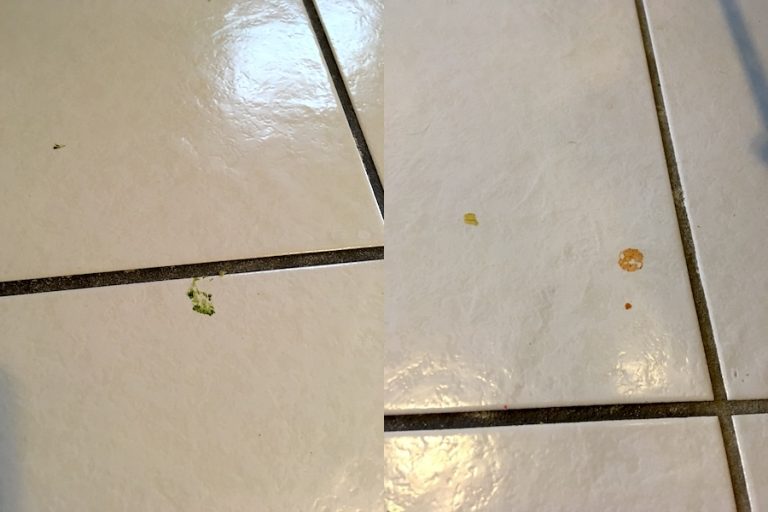 Review ECOS Floor Cleaner Safe Household Cleaning